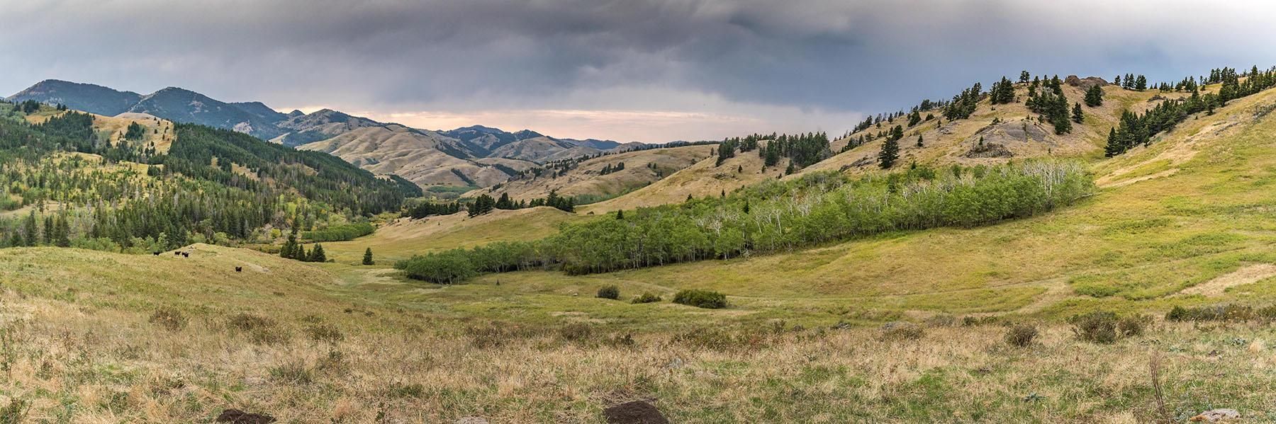 Geraldine, Chouteau County, MT Farms and Ranches for sale Property ID