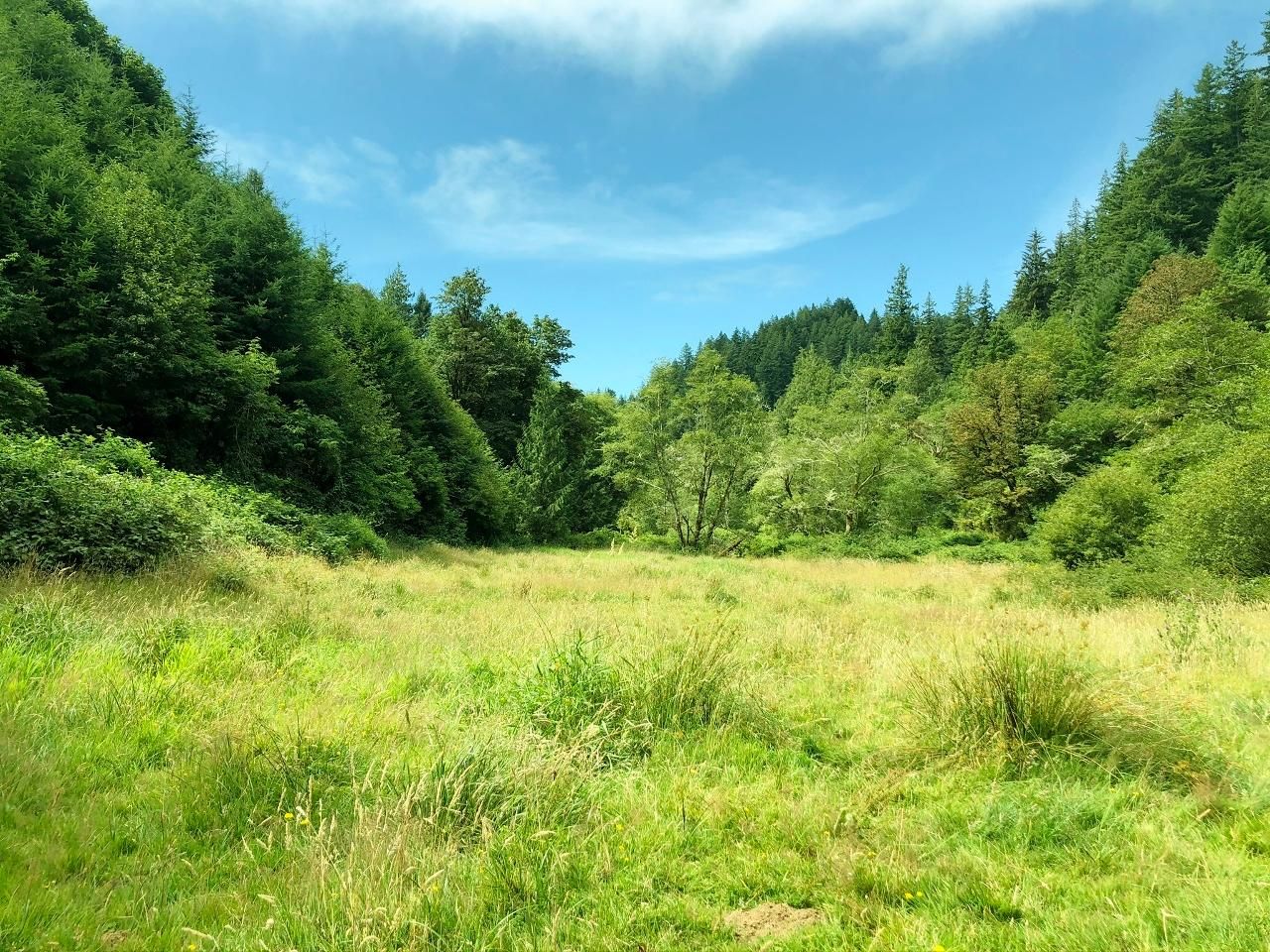 Florence, Lane County, OR Recreational Property, Timberland Property