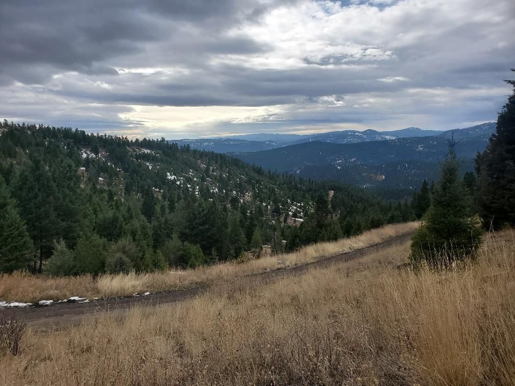 Drummond, Granite County, MT Recreational Property, Hunting Property for sale Property ID