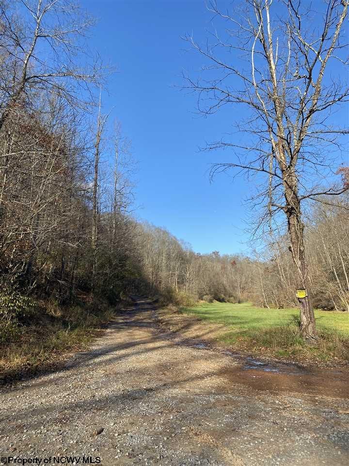 Weston, Lewis County, WV Farms and Ranches for sale Property ID