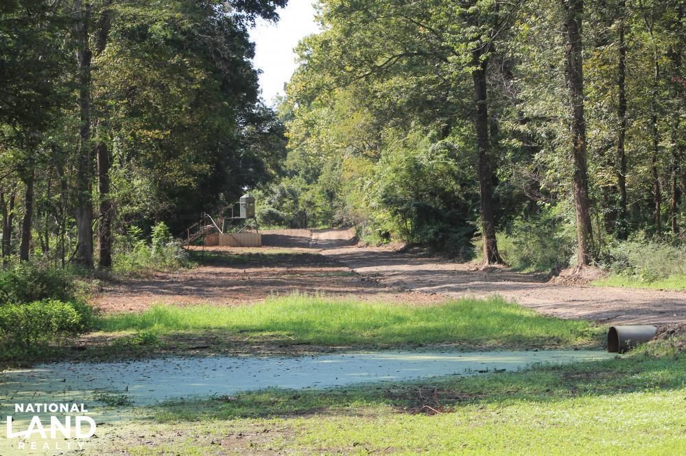 Transylvania, East Carroll Parish, LA Recreational Property, Hunting