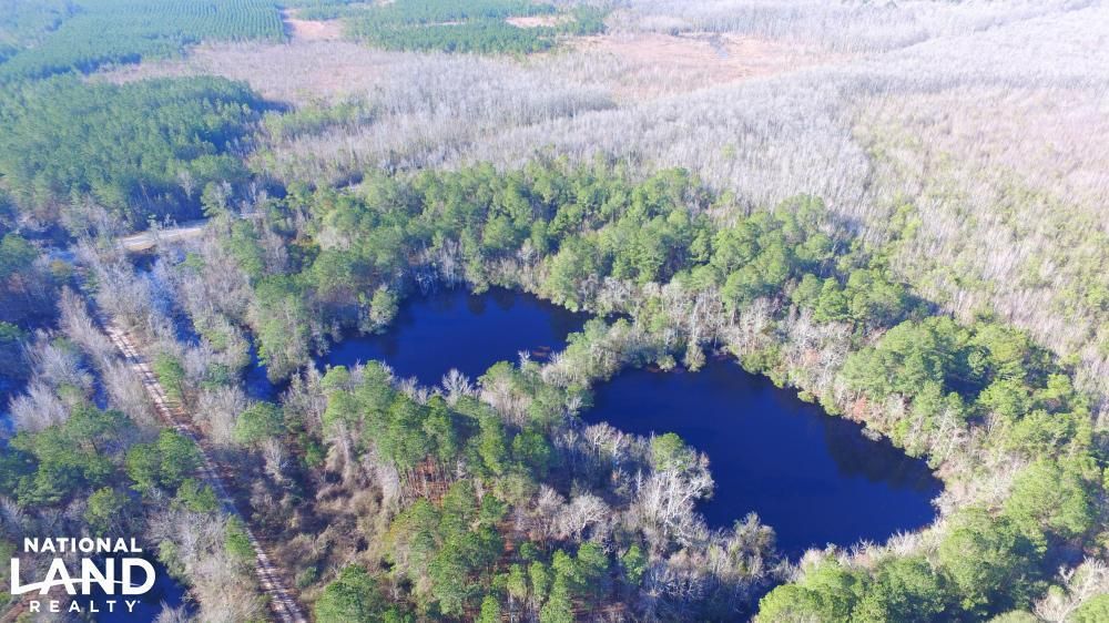 Orrum, Robeson County, NC Recreational Property, Timberland Property
