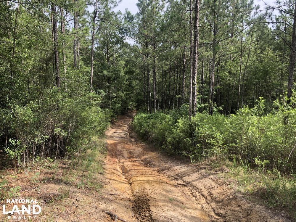 Perdido Baldwin County AL Recreational Property Timberland Property Hunting Property For 