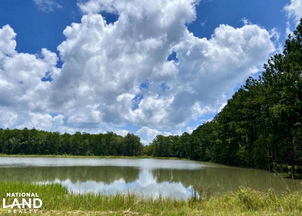 Hahira, Lowndes County, GA Recreational Property, Undeveloped Land for