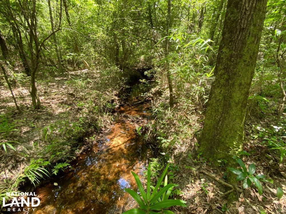 Evergreen, Conecuh County, AL Recreational Property, Timberland
