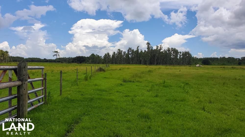 Zolfo Springs, Hardee County, FL Farms and Ranches, Horse Property for
