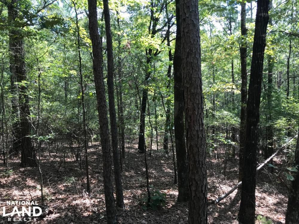 Gordo, Pickens County, AL Recreational Property, Timberland Property