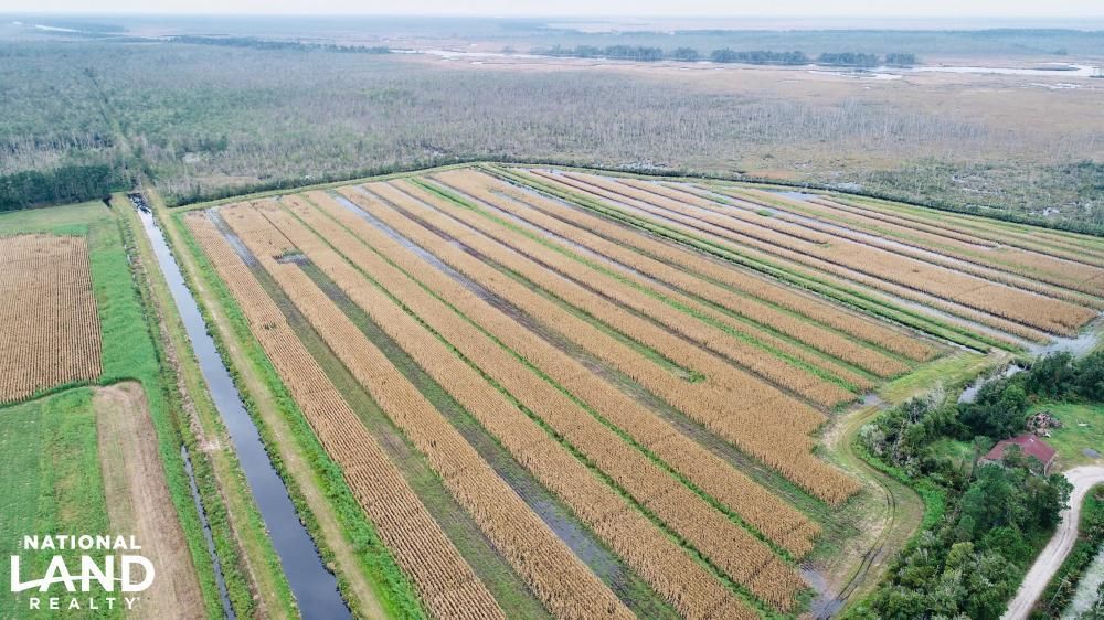 Fairfield, Hyde County, NC Recreational Property, Timberland Property