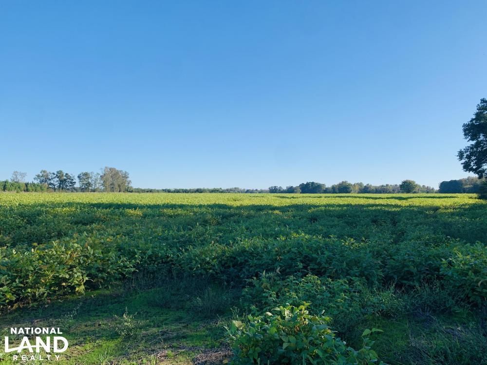 Dunn, Sampson County, NC Farms and Ranches, Recreational Property