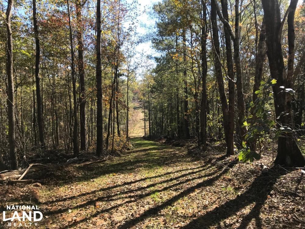 Winfield, Fayette County, AL Recreational Property, Timberland Property
