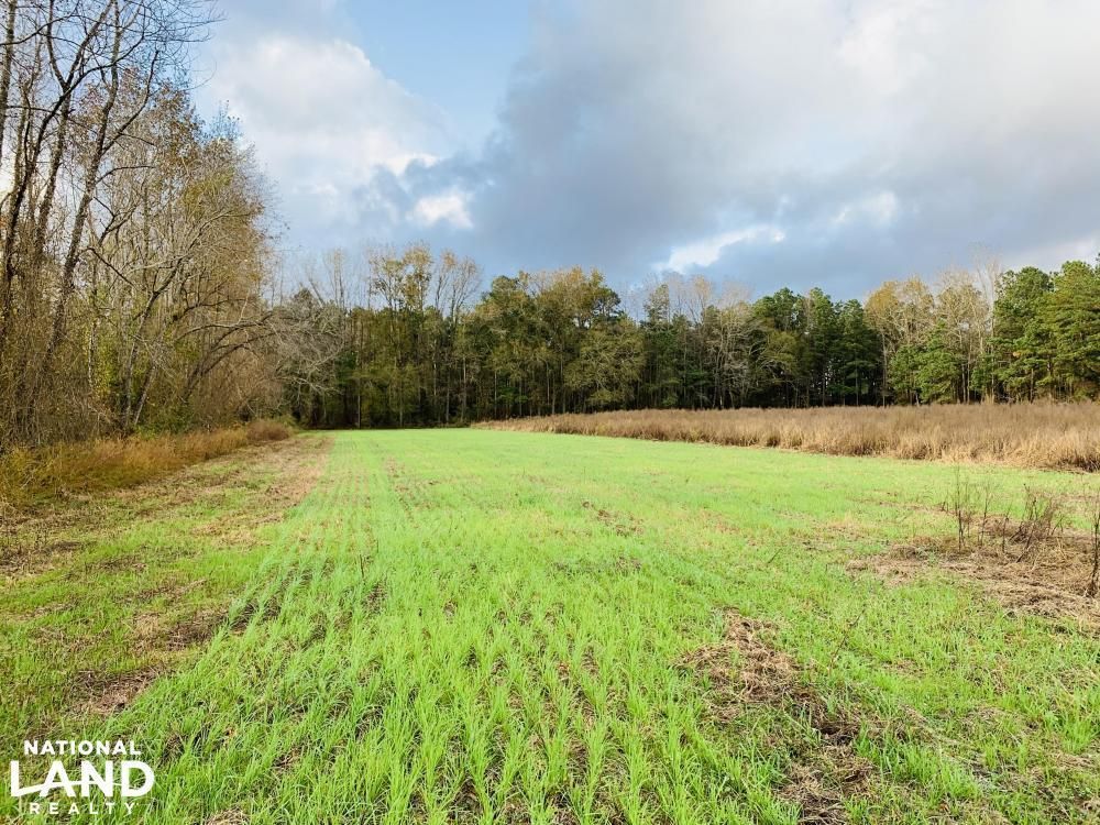 Garland, Sampson County, NC Farms and Ranches, Recreational Property