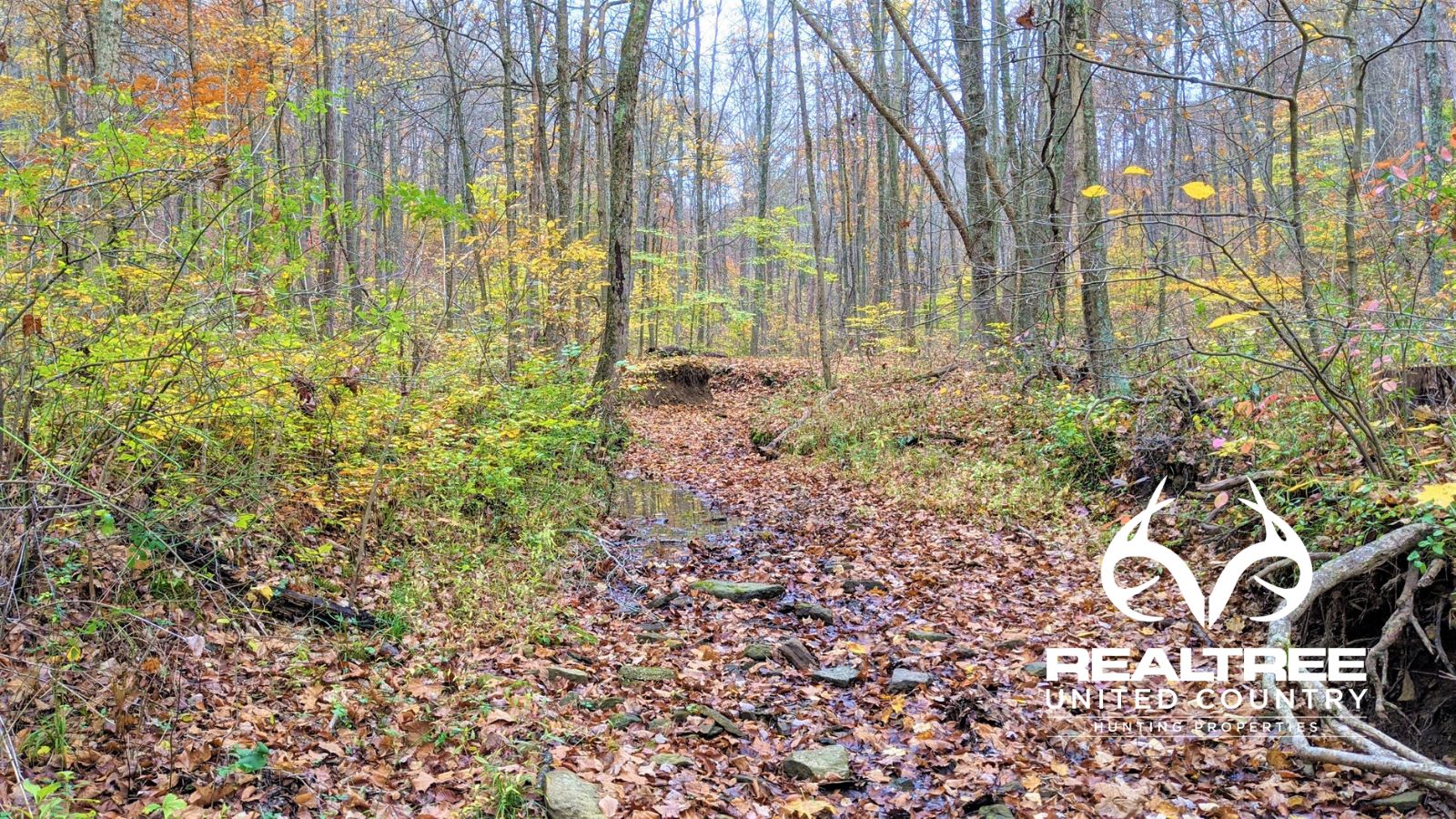 Athens, Athens County, OH Recreational Property, Timberland Property