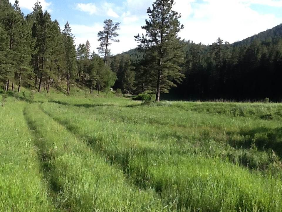 Custer, Custer County, SD Undeveloped Land for sale Property ID