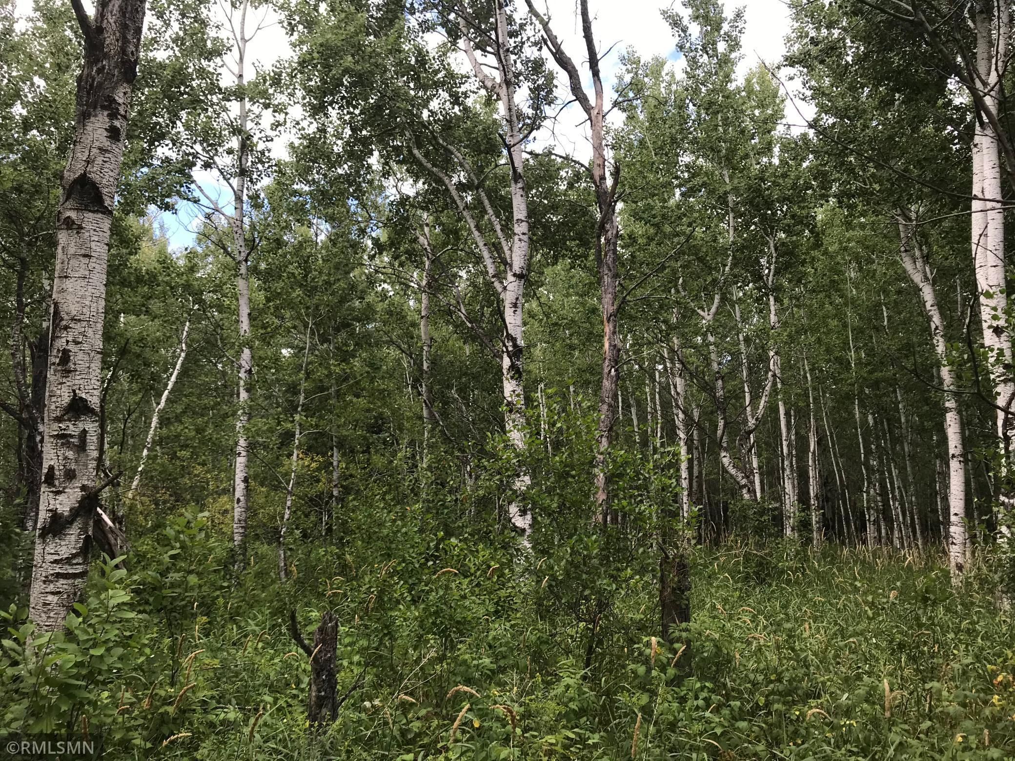 International Falls, Koochiching County, MN Undeveloped Land for sale
