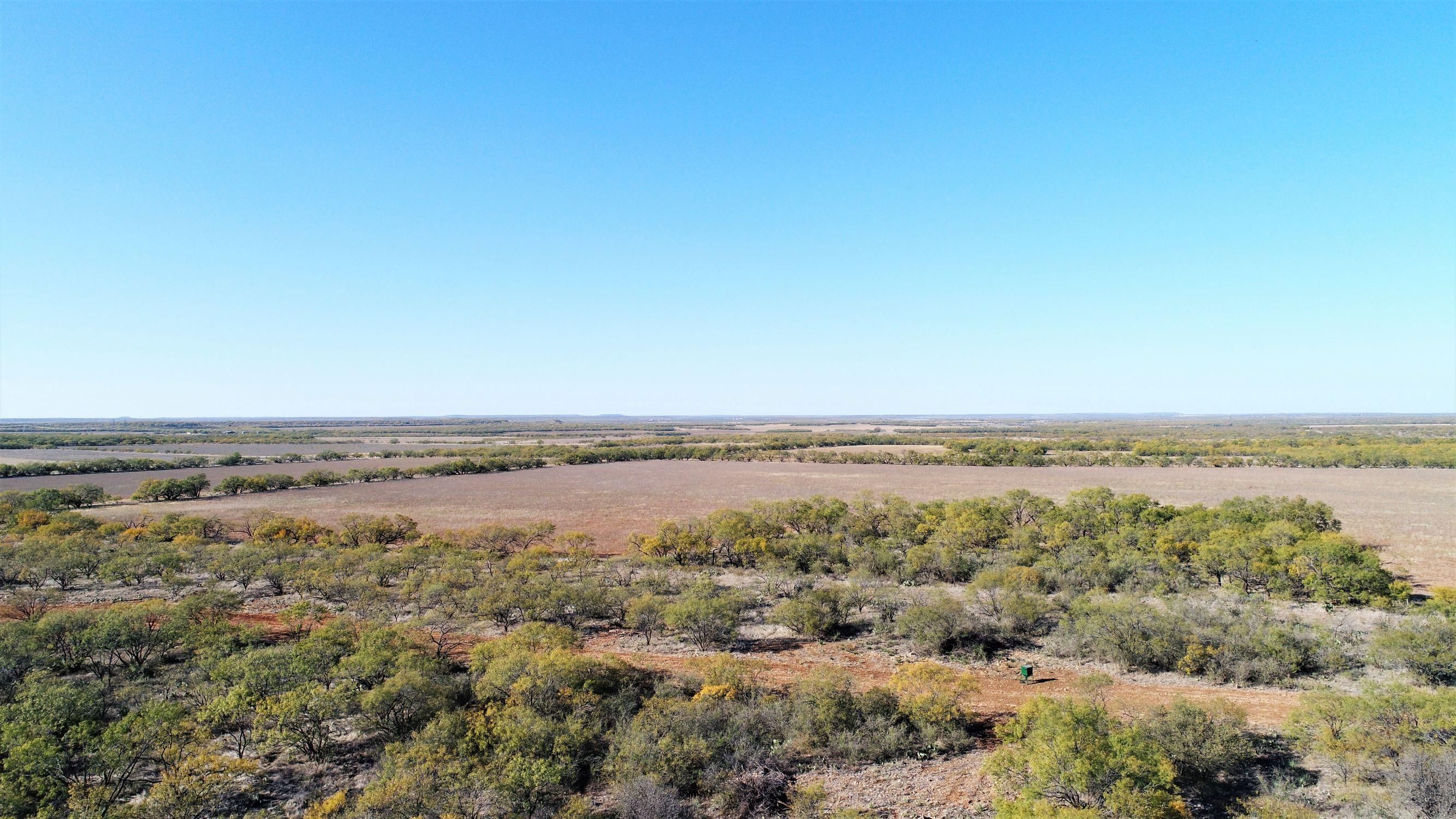 Coleman, Coleman County, TX Farms and Ranches, Recreational Property
