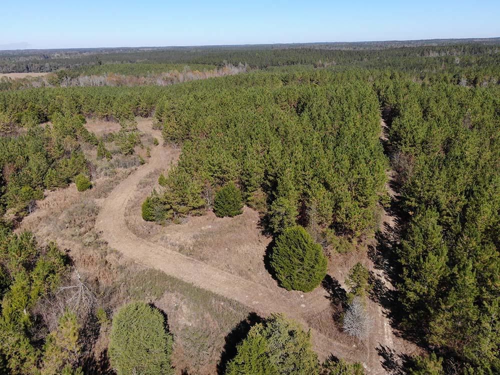 Shubuta, Clarke County, MS Recreational Property, Timberland Property