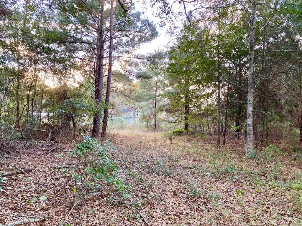 Hazlehurst, Jeff Davis County, GA Undeveloped Land for sale Property ID