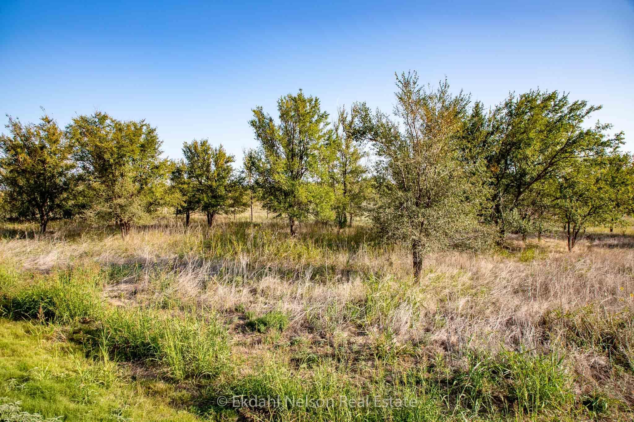 Hermleigh, Scurry County, TX Farms and Ranches, Undeveloped Land for