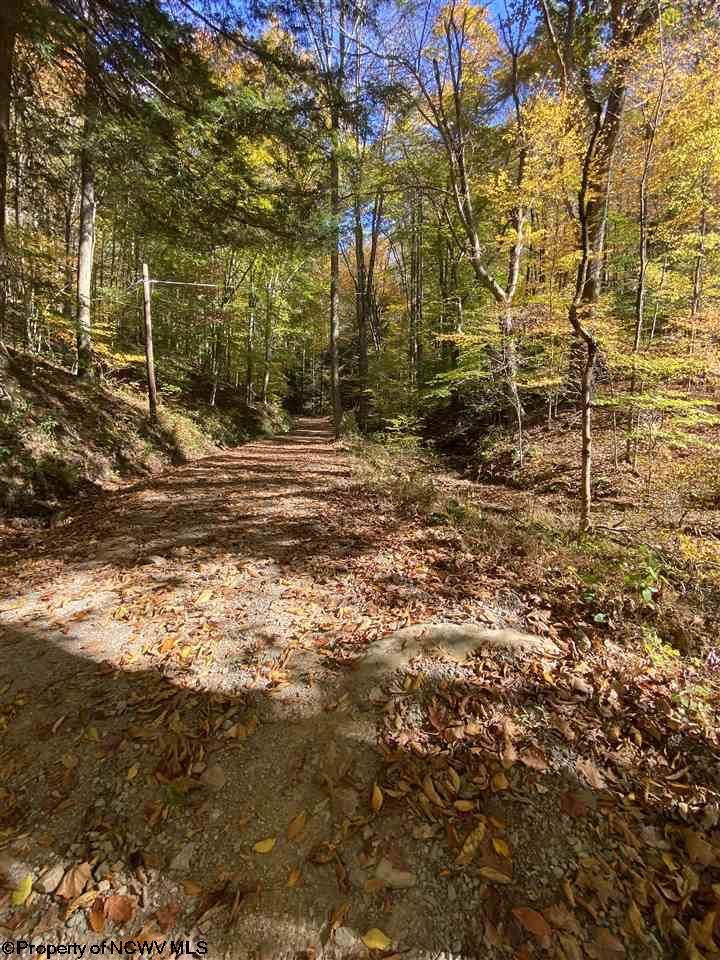 Hacker Valley, ster County, WV Undeveloped Land for sale Property ID 408792640 LandWatch