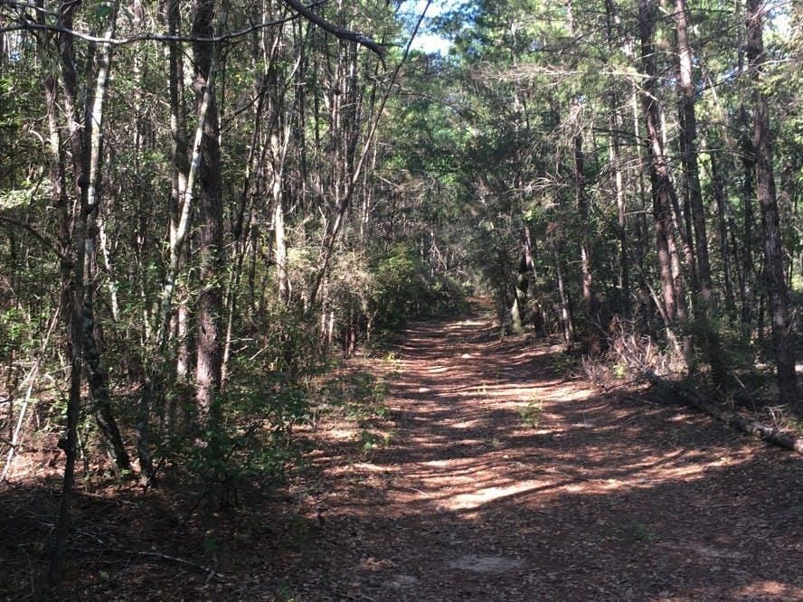 200 acres in Vernon, FL, LandWatch
