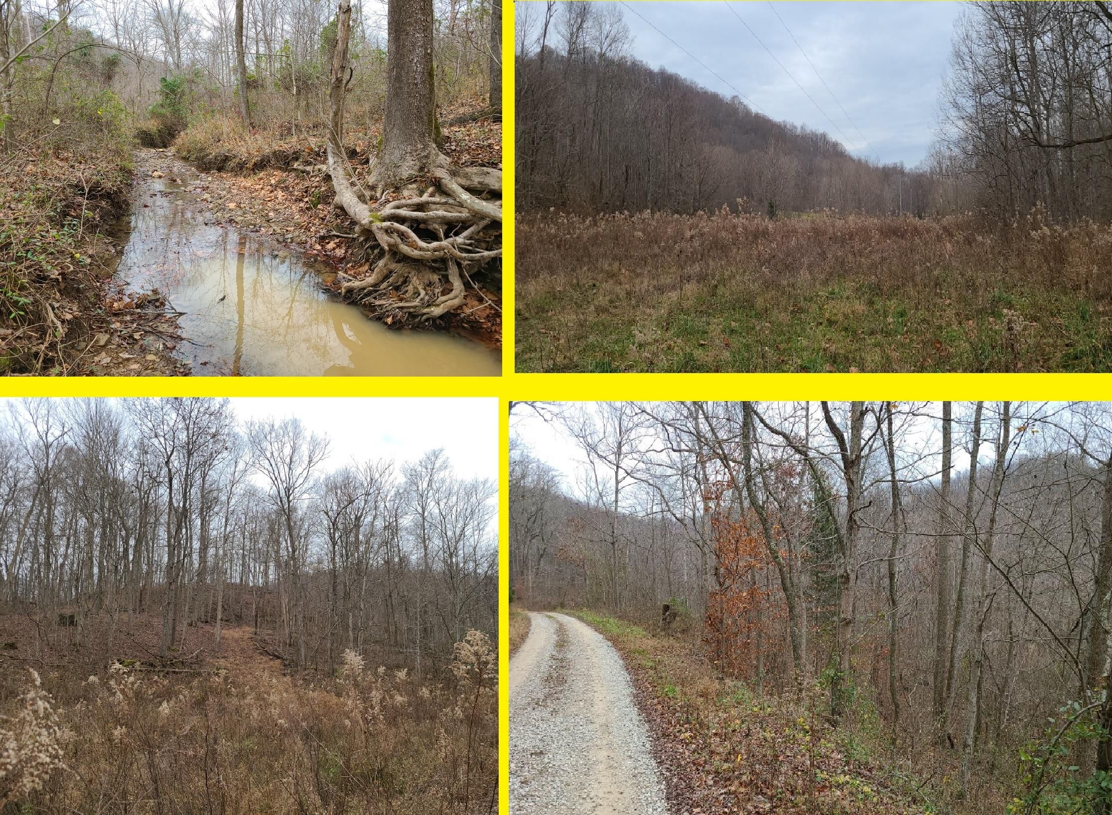 May Hollow Road, Tollesboro, KY 41189 LandWatch