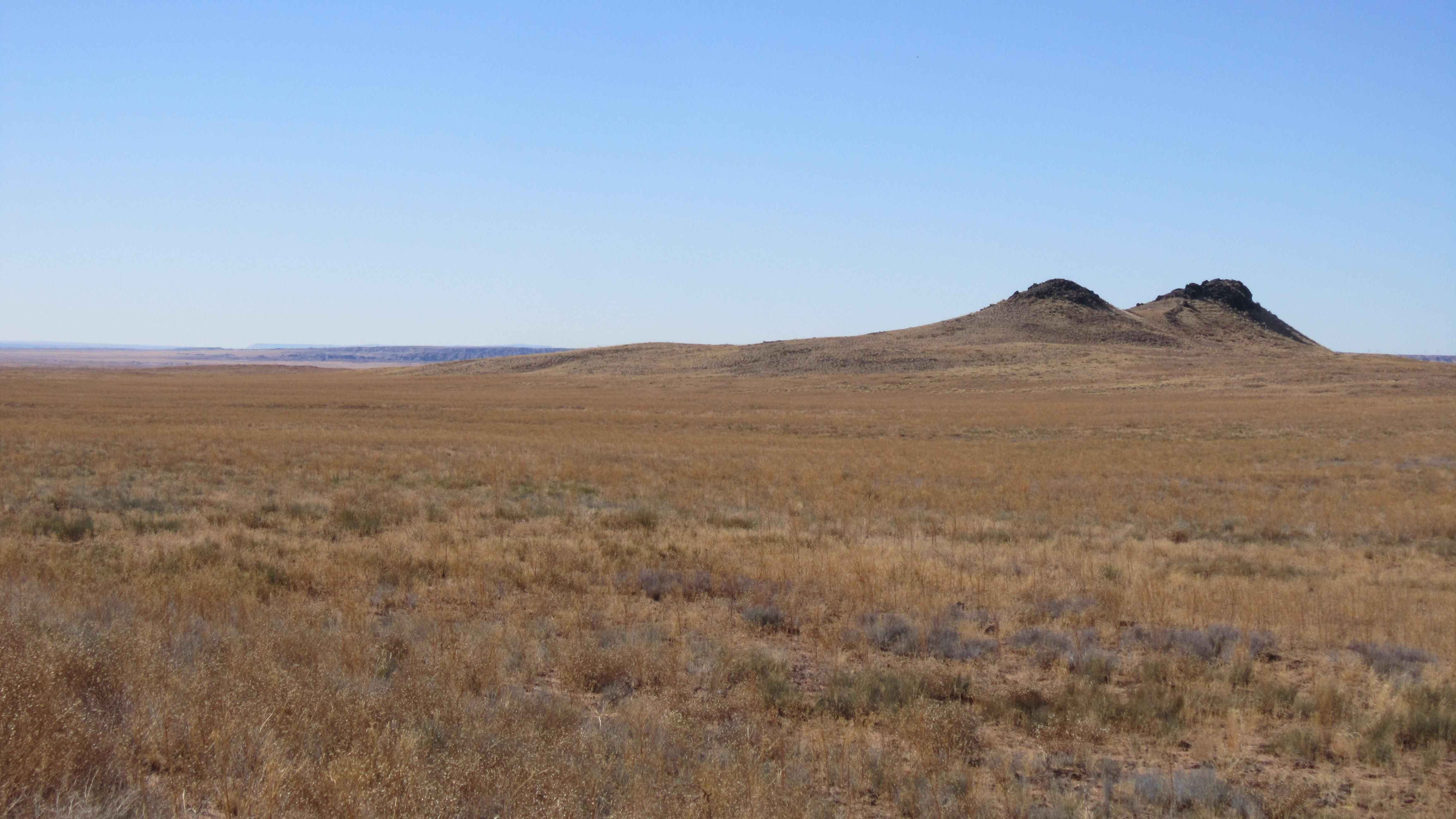 Holbrook, Navajo County, AZ Recreational Property, Undeveloped Land
