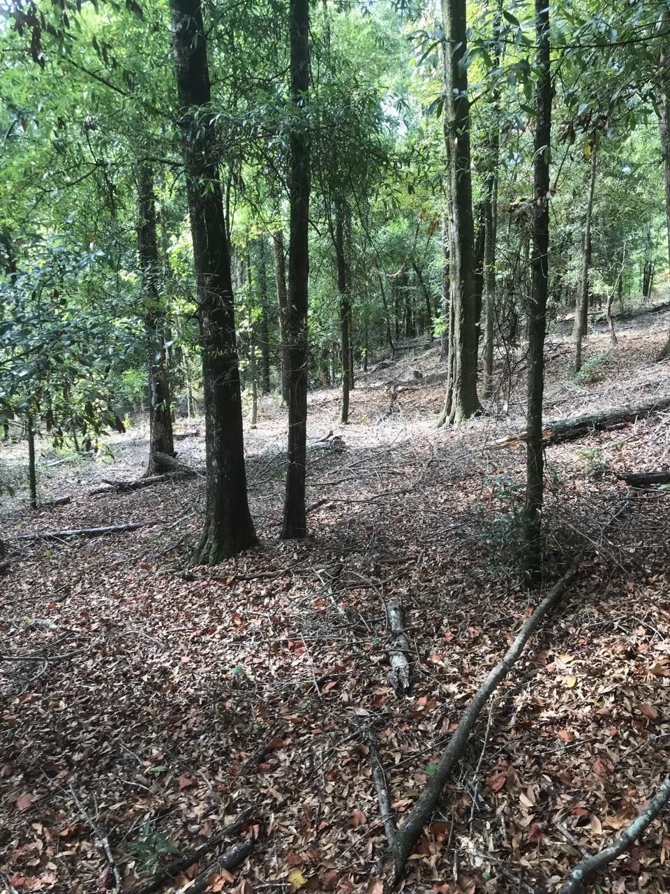 Lapine, Montgomery County, AL Farms and Ranches for sale Property ID