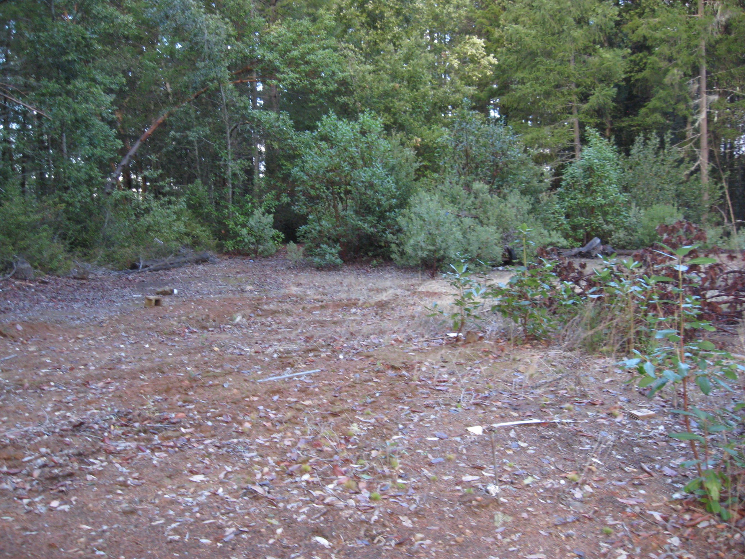 Alderpoint, Humboldt County, CA Undeveloped Land for sale Property ID