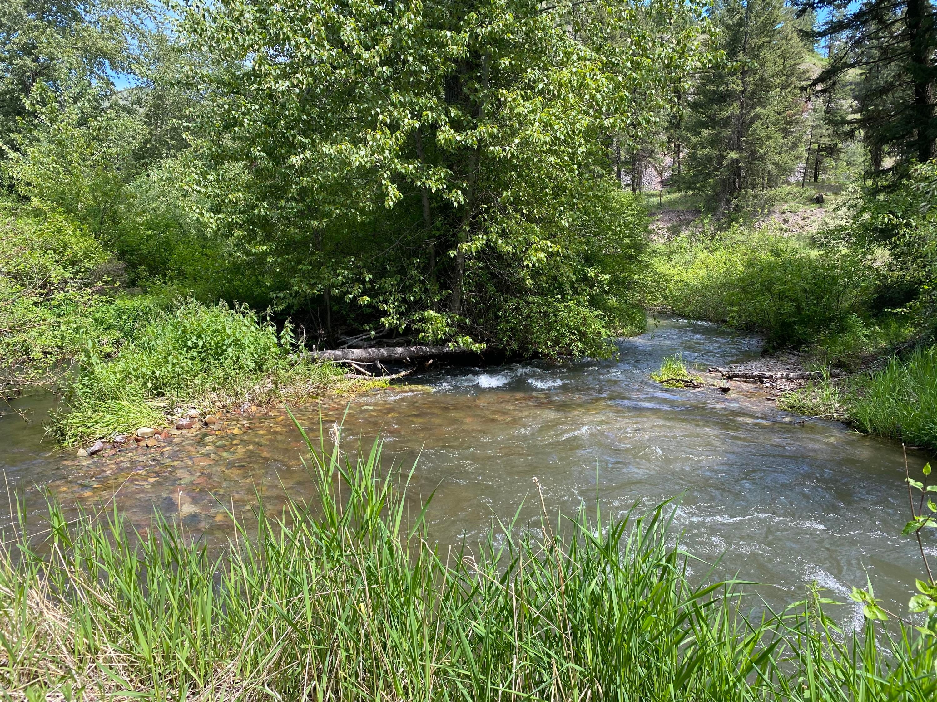 Alberton, Missoula County, MT Undeveloped Land for sale Property ID