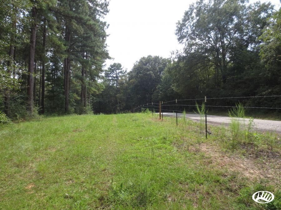 Sandy Hook, Marion County, MS Recreational Property, Timberland