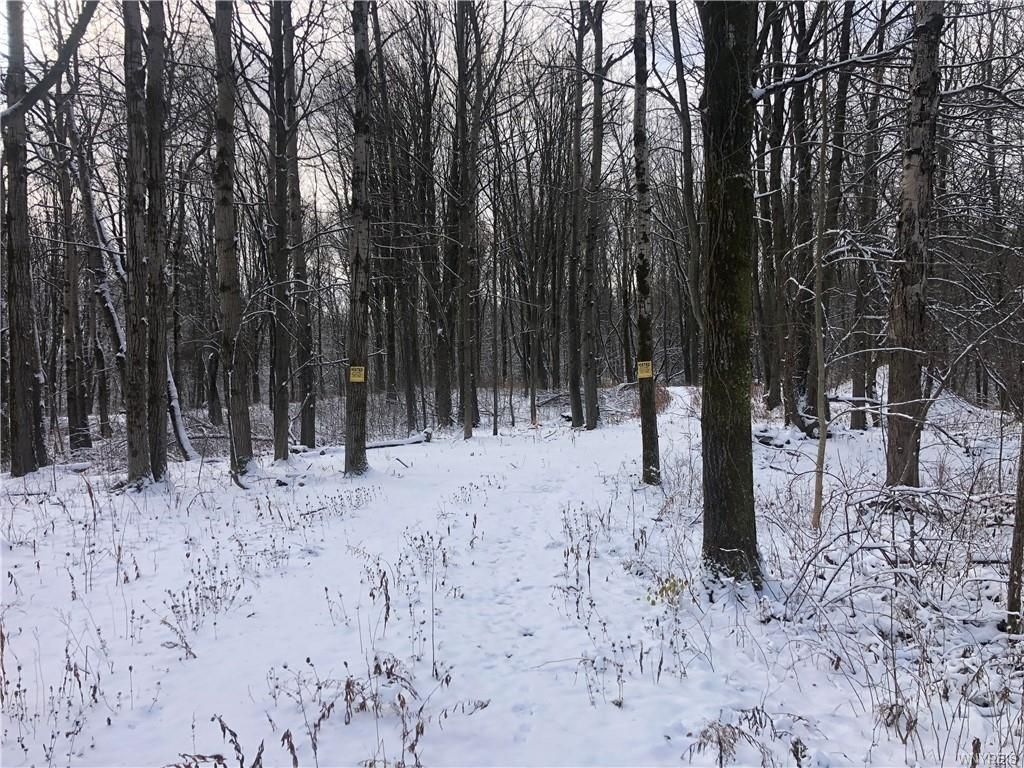 Warsaw, Wyoming County, NY Undeveloped Land, Homesites for sale