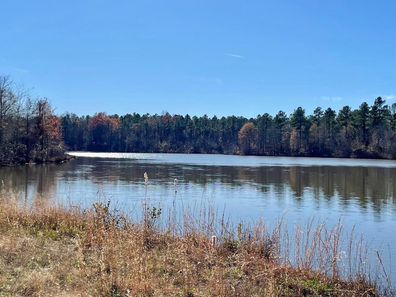 Carlton, Oglethorpe County, GA Recreational Property, Timberland Property, Hunting Property