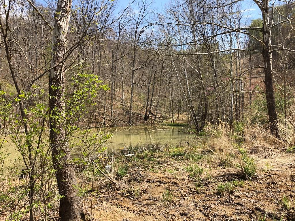 Salyersville, Magoffin County, KY Undeveloped Land for sale Property ID 408812019 LandWatch