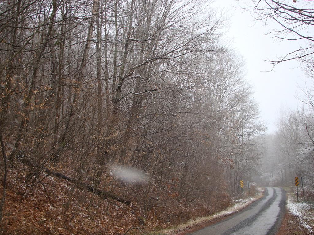 Coudersport, Potter County, PA Undeveloped Land for sale Property ID