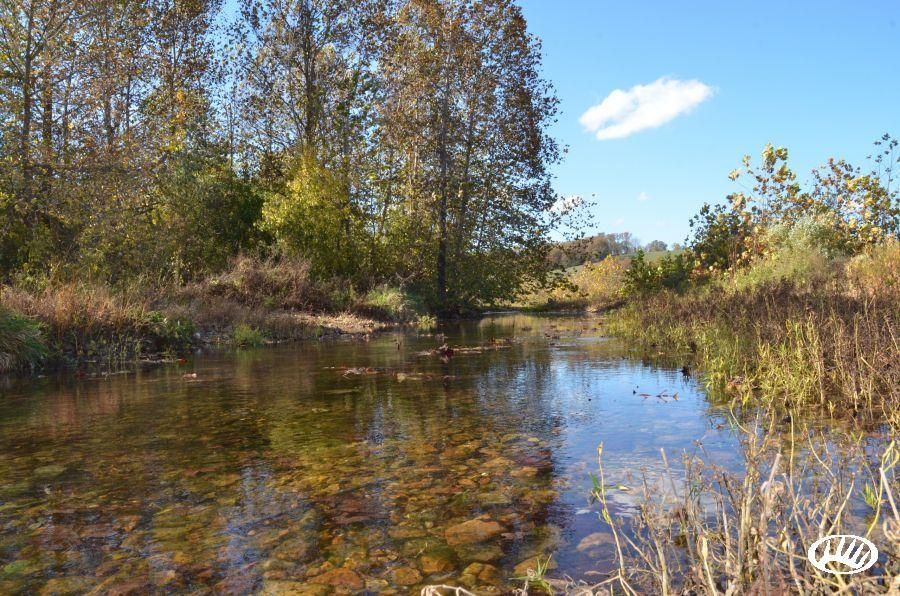 Marshfield, ster County, MO Farms and Ranches, Hunting Property for