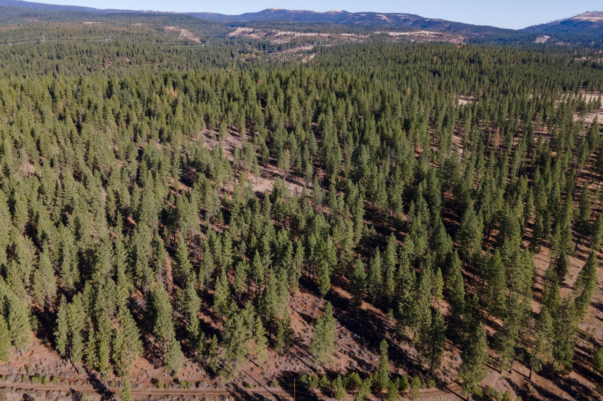 Goldendale, Klickitat County, WA Recreational Property, Timberland