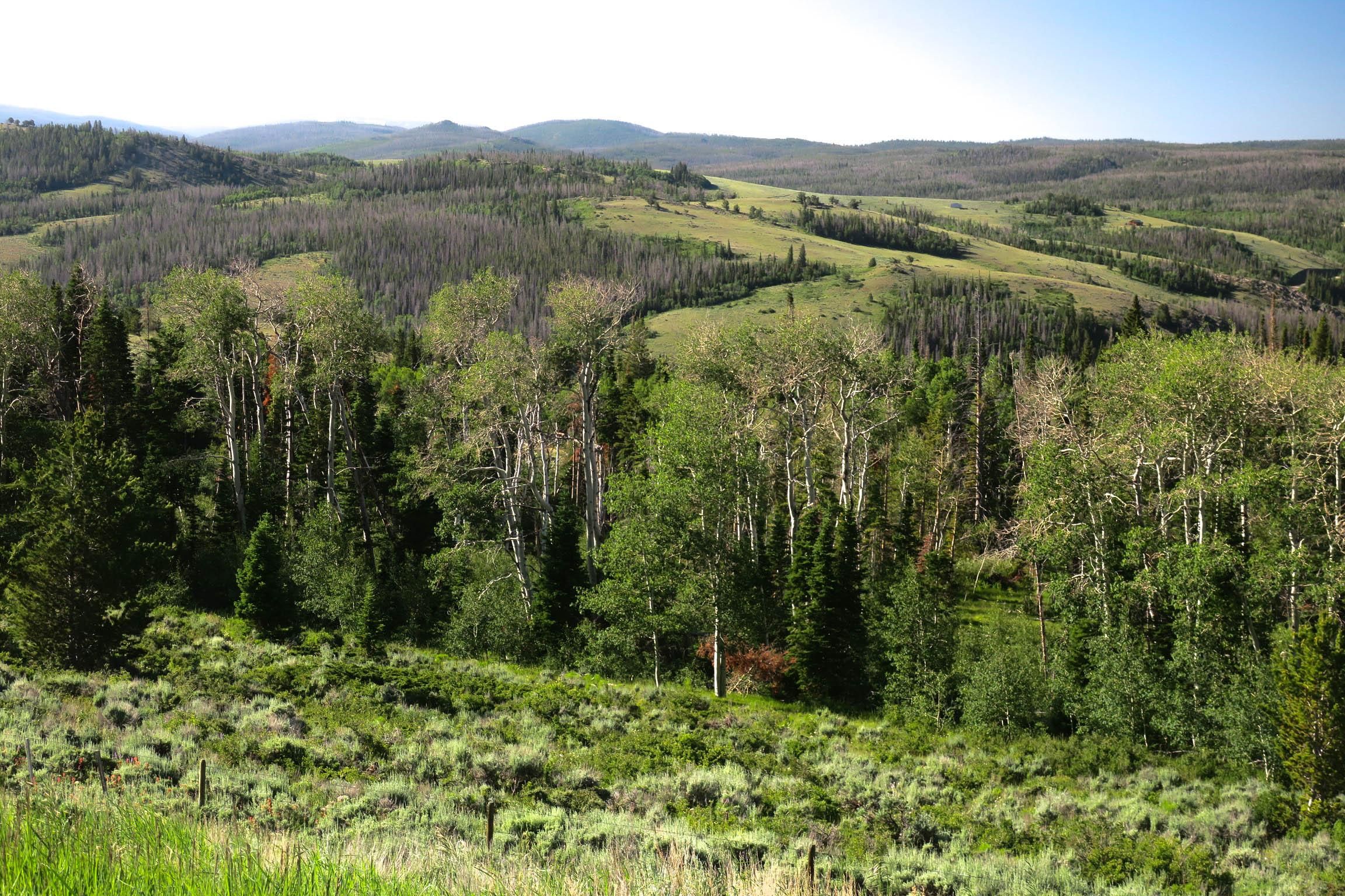 Encampment, Carbon County, WY Farms and Ranches, Recreational Property