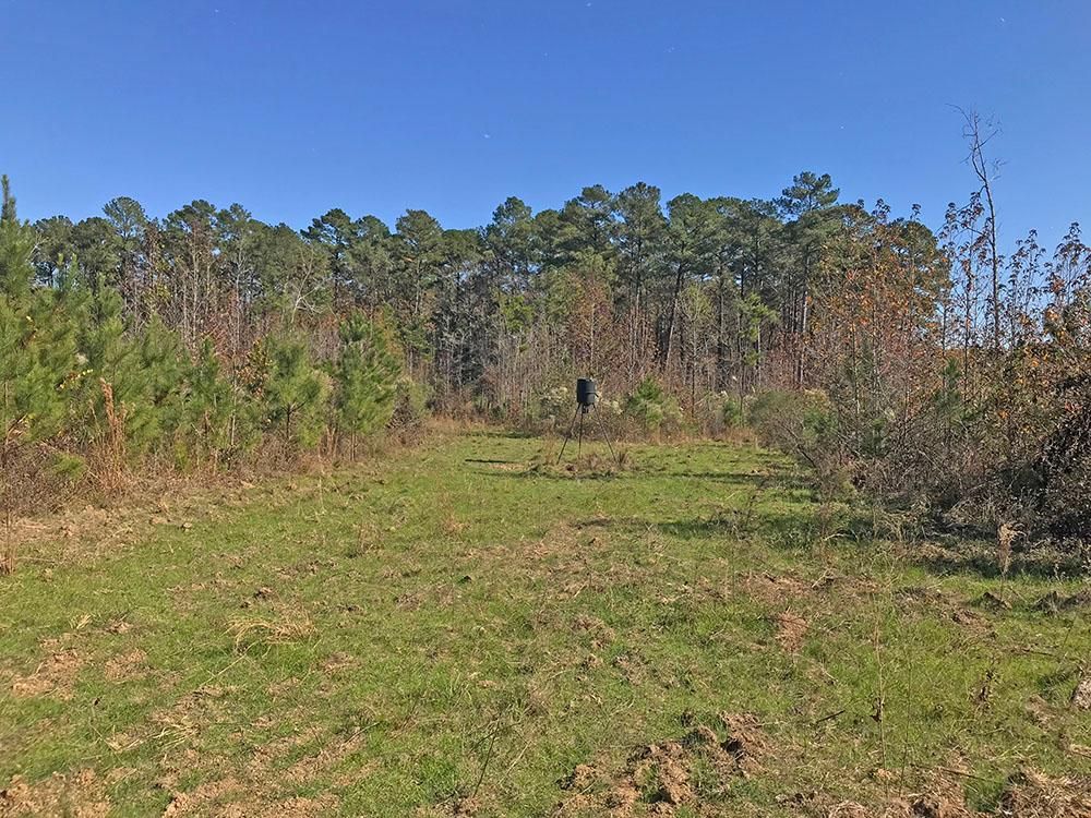 Lake, Scott County, MS Recreational Property, Timberland Property