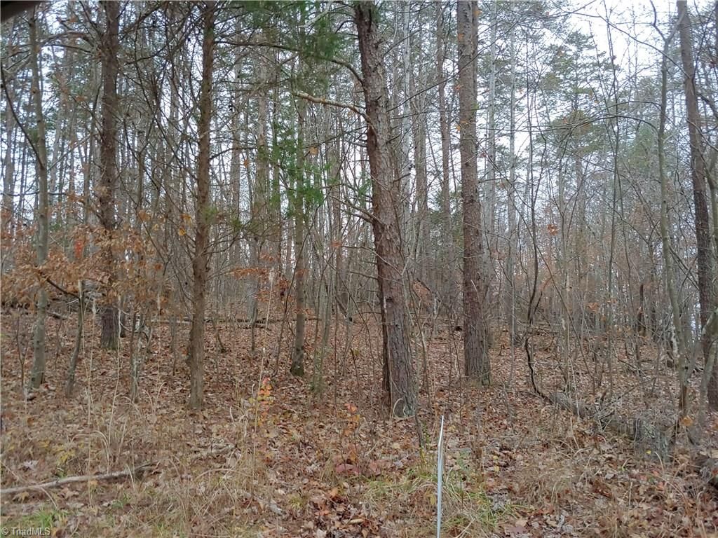 Germanton, Stokes County, NC Undeveloped Land for sale Property ID