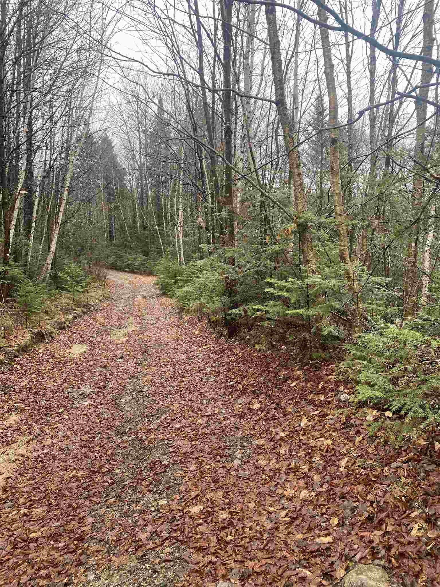 Stratford, Coos County, NH Undeveloped Land for sale Property ID