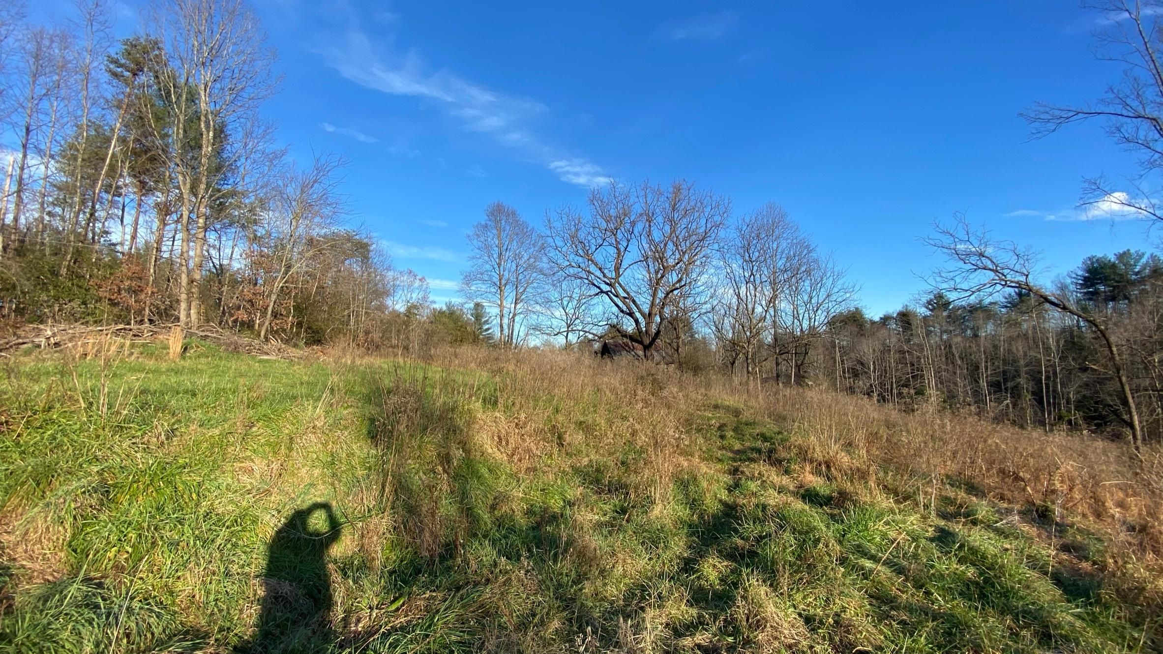 Millers Creek, Wilkes County, NC Undeveloped Land for sale Property ID