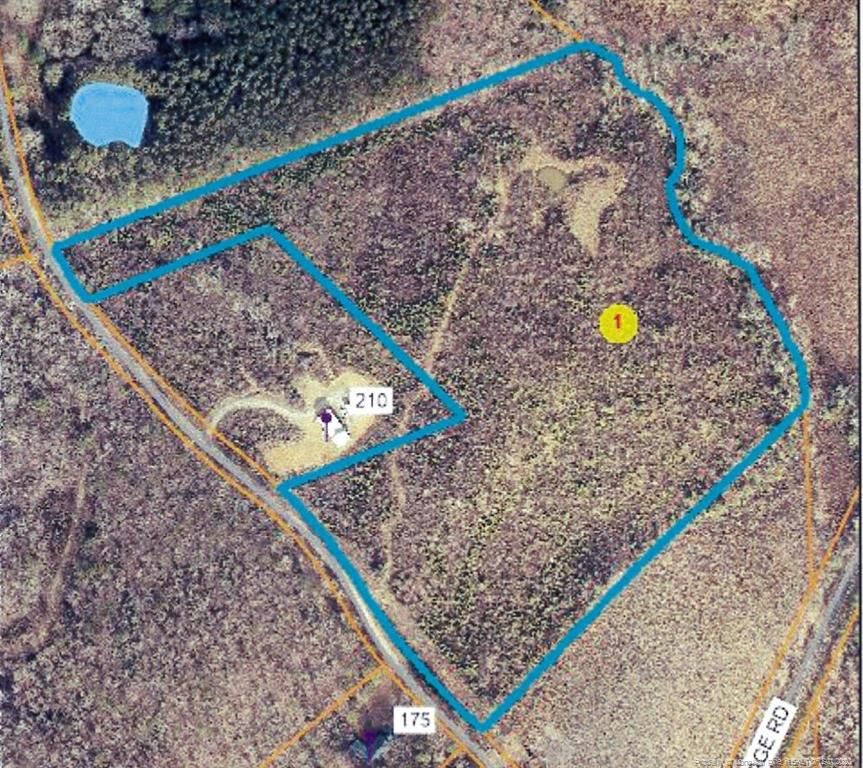 Carthage, Moore County, NC Undeveloped Land for sale Property ID
