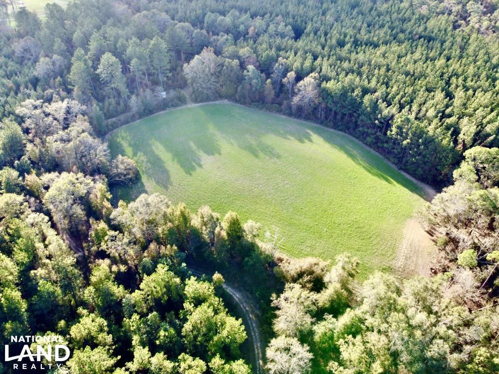 Chatom, Washington County, AL Recreational Property, Timberland