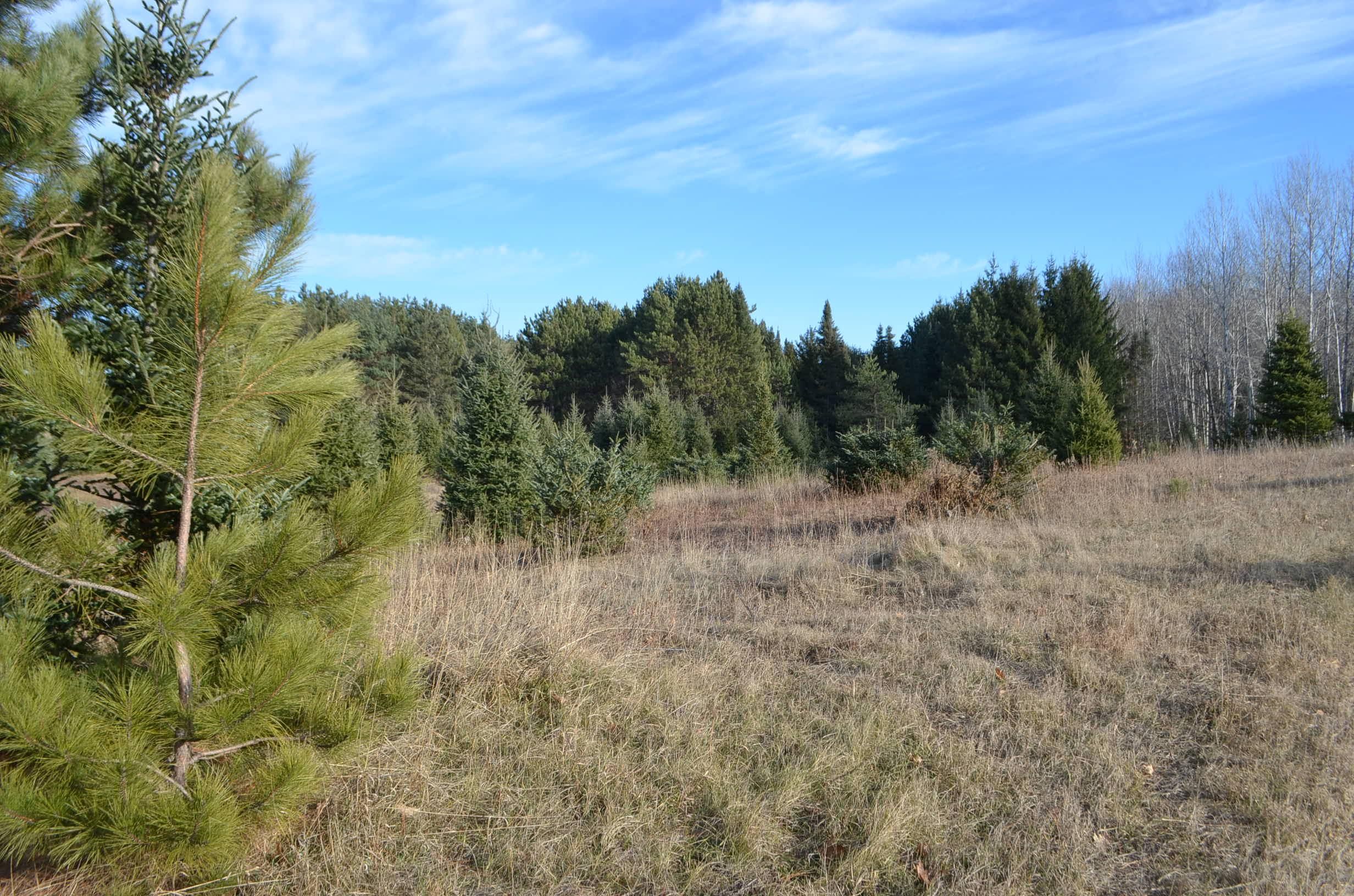 Eland, Marathon County, WI Recreational Property, Hunting Property for