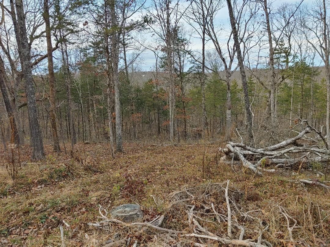 Dittmer, Jefferson County, MO Undeveloped Land for sale Property ID