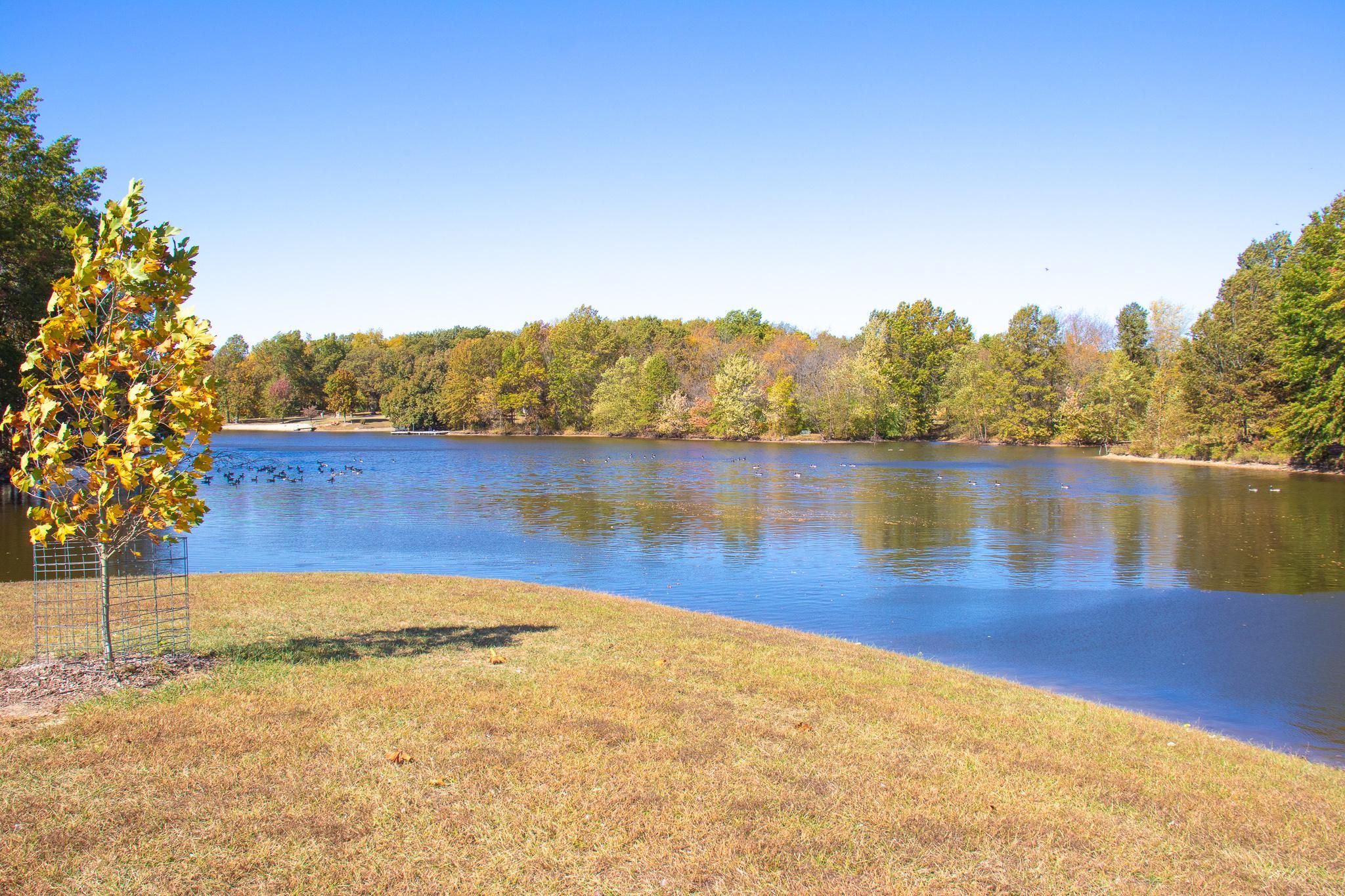 Taylorville, Christian County, IL Undeveloped Land, Lakefront Property