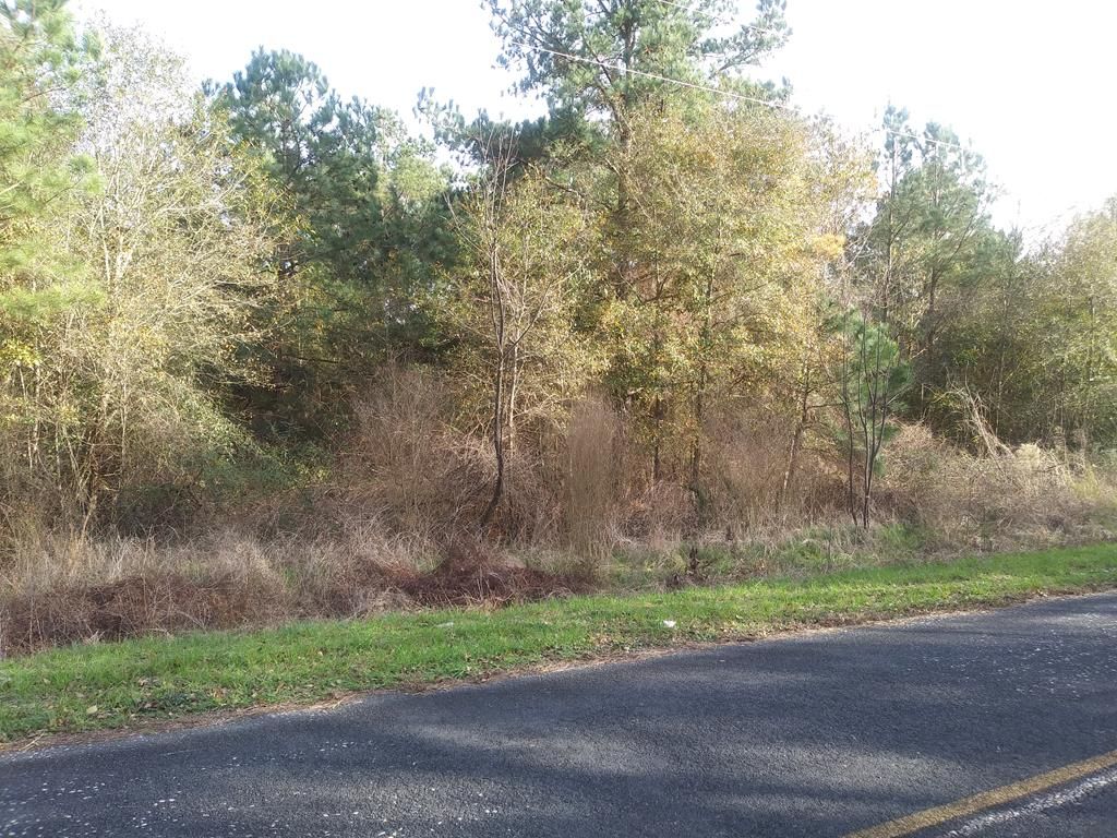 Rembert, Sumter County, SC Undeveloped Land for sale Property ID