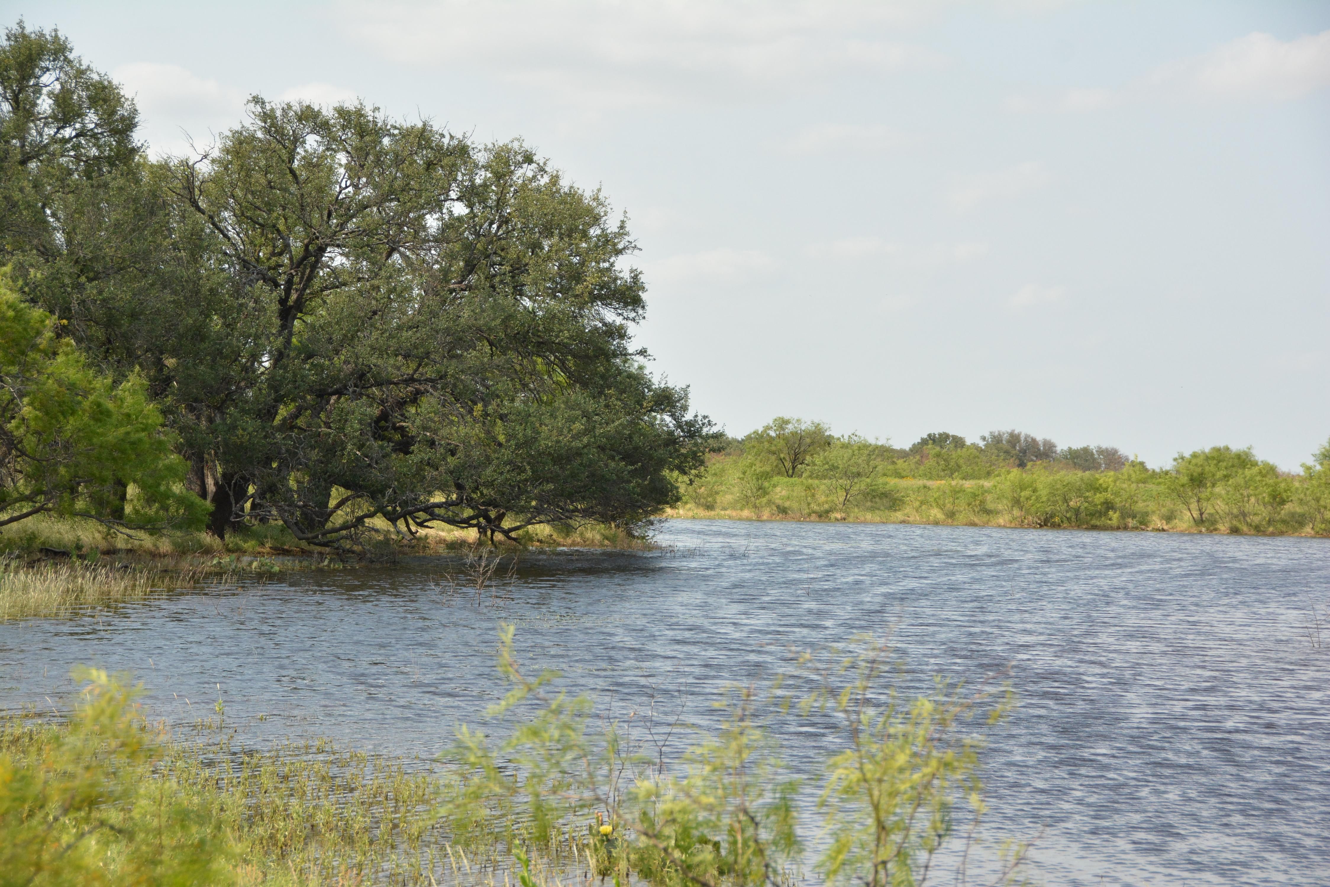 440 acres in Melvin, TX, 76858 LandWatch