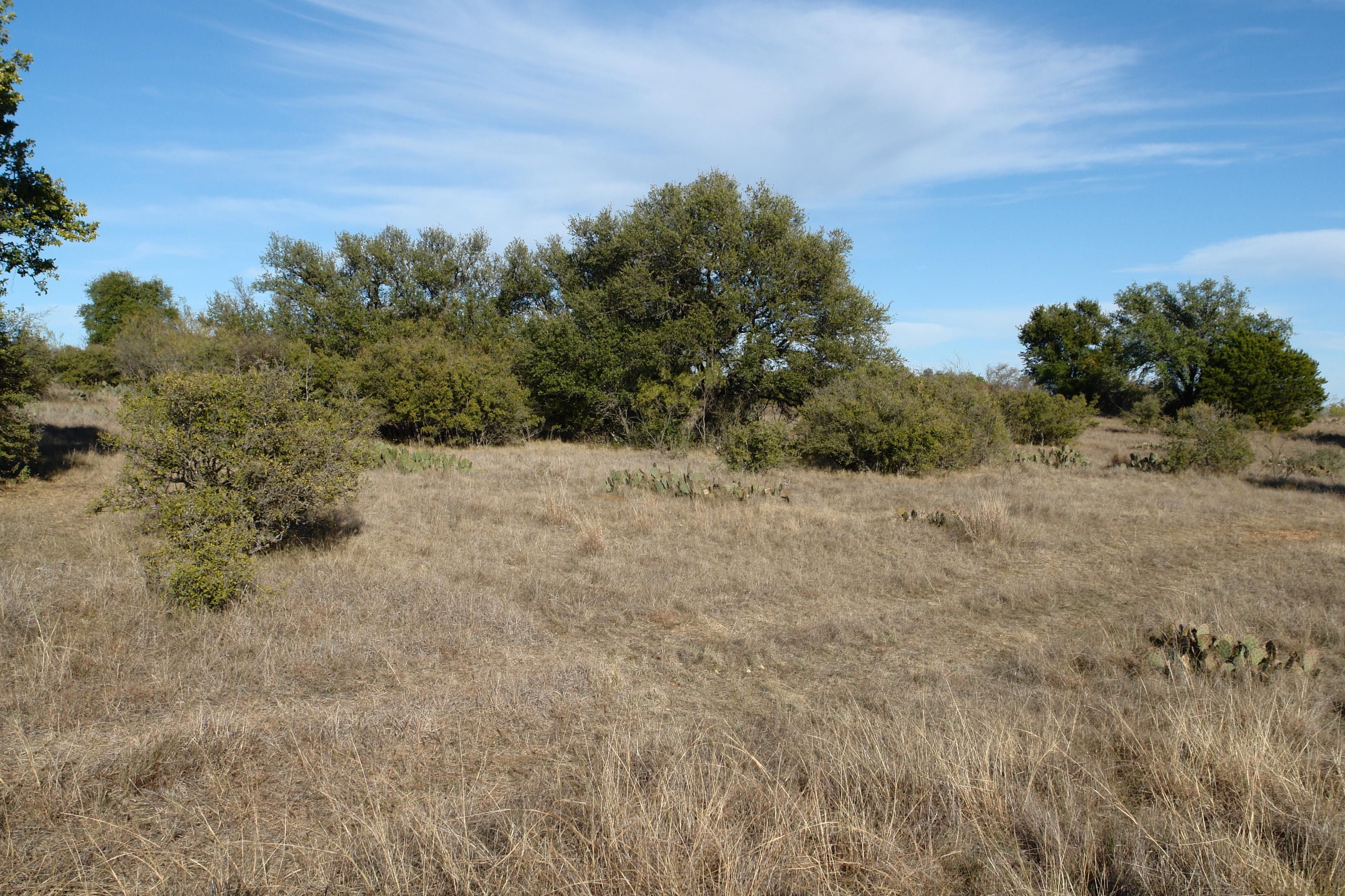 San Saba, San Saba County, TX Farms and Ranches, Recreational Property