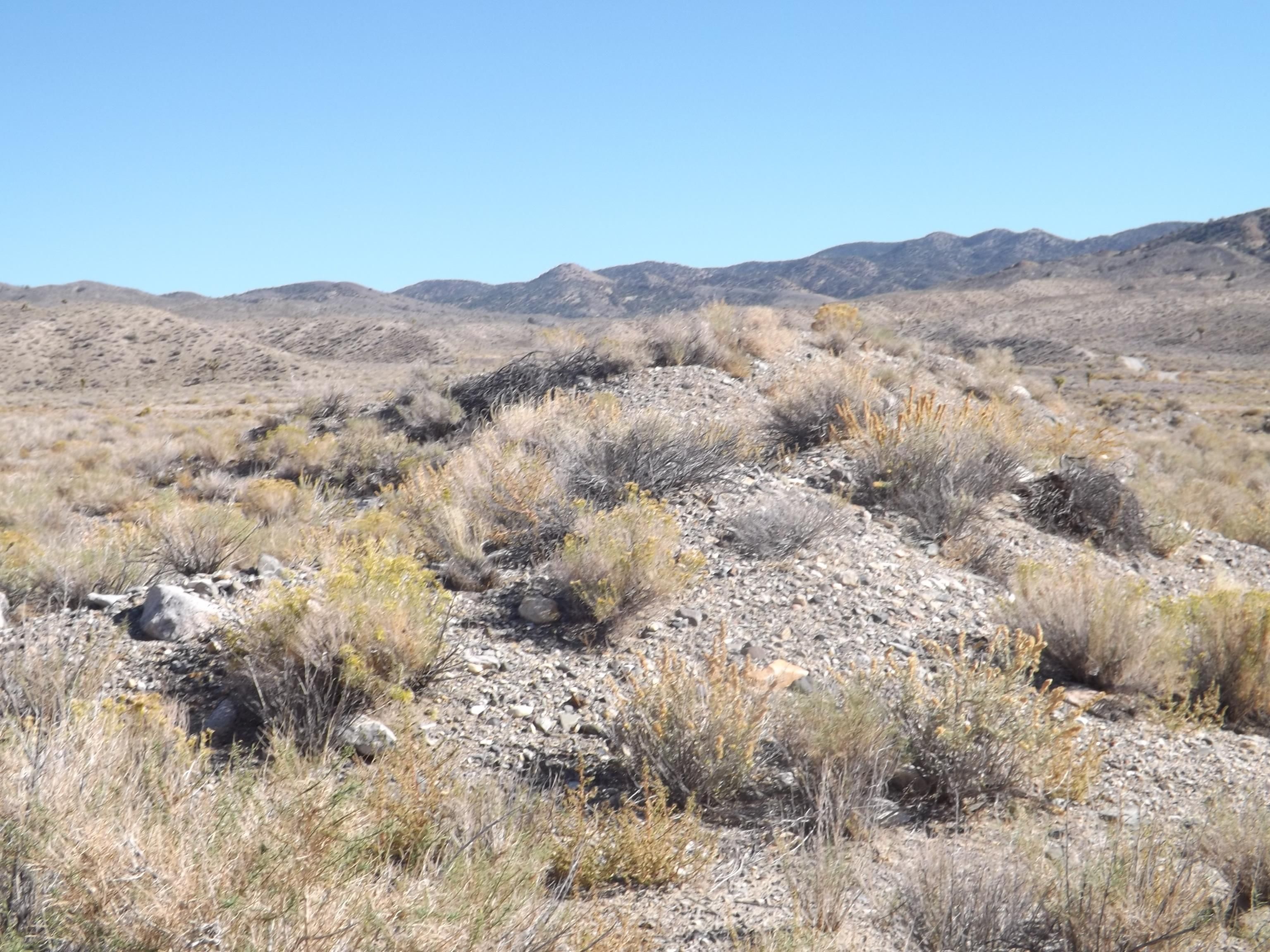 39.09 acres in Lida, NV, 89013 MLS Exclusive LandWatch